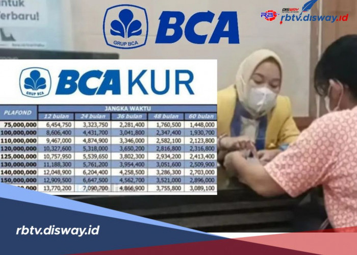 Jenis KUR BCA 2025 Terbaru, Suku Bunga 6%, Cek ini Simulasi Angsuran Pinjaman Rp 30-100 Juta