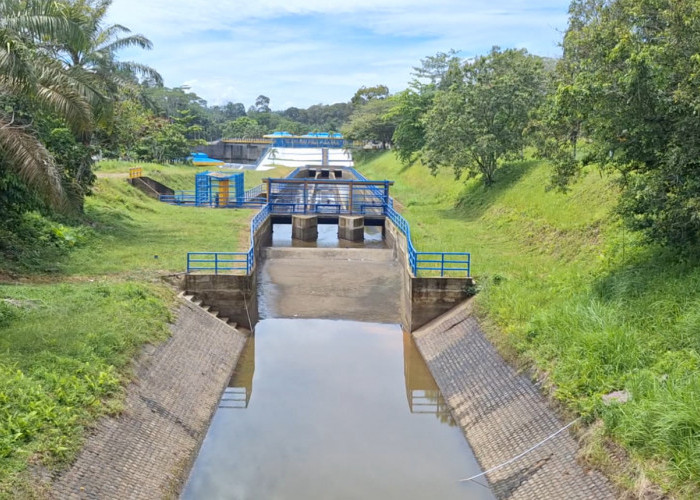 Perkuat Sektor Pertanian, Proyek P3-TGAI di Mukomuko Sudah 90 Persen