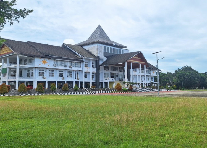 Rumput Liar Tumbuh Subur di Kantor Bupati Mukomuko