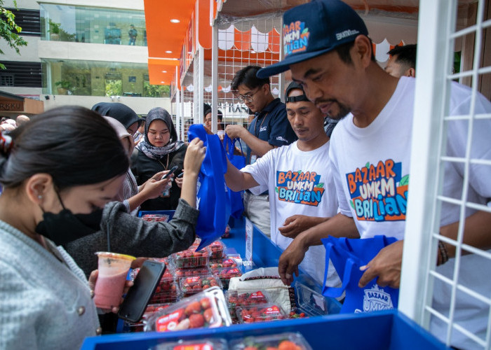 Mengecap Manisnya Bisnis Stroberi dengan Pemberdayaan BRI