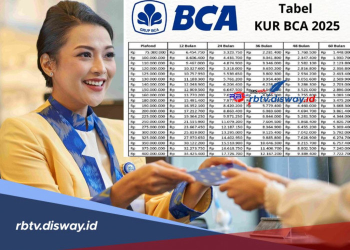 Simulasi Terbaru Angsuran Pinjaman KUR BCA 2025 Rp350 Juta Tenor 5 Tahun