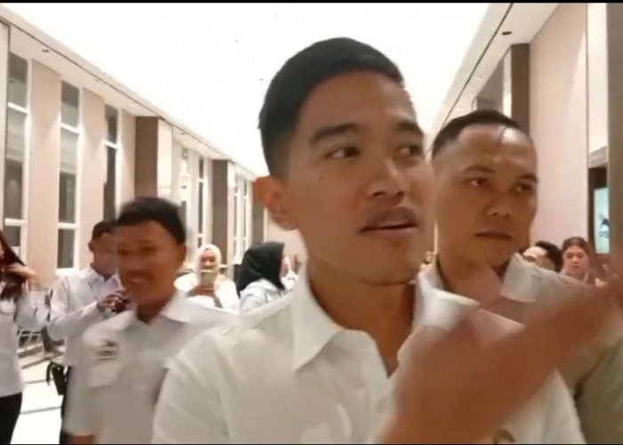 Datang ke Rakorwil PSI Bengkulu, Kaesang Dorong Kemajuan PSI Bengkulu 