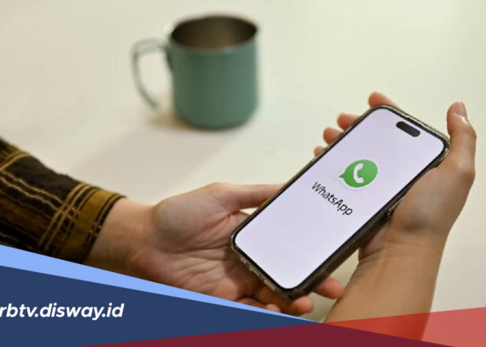 Foto-Video WhatsApp Bikin Memori HP Penuh? Coba Cara Ini untuk Membersihkannya 