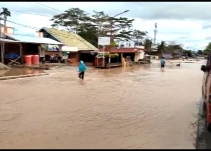 Bengkulu Langganan Banjir, Ini Permintaan Dinas ESDM Provinsi ke Perusahaan Tambang