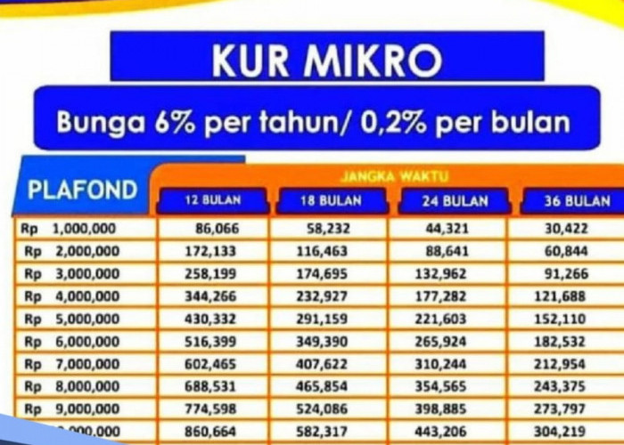 Insentif KUR Mikro Buat Petani Besarannya Segini, Ini Tabel Angsuran KUR BRI 2024 Pinjaman Rp 100 dan 150 Juta