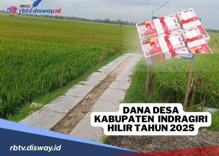 Pembagian Dana Desa Kabupaten Indragiri Hilir Tahun 2025, Ini Rinciannya untuk 197 Desa