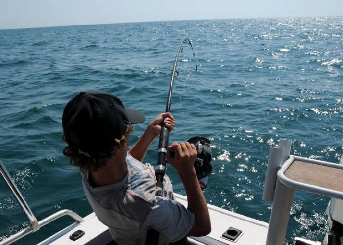 Ember Bakal Penuh dengan Ikan Jika Pakai Umpan Pancing Berikut Ini 