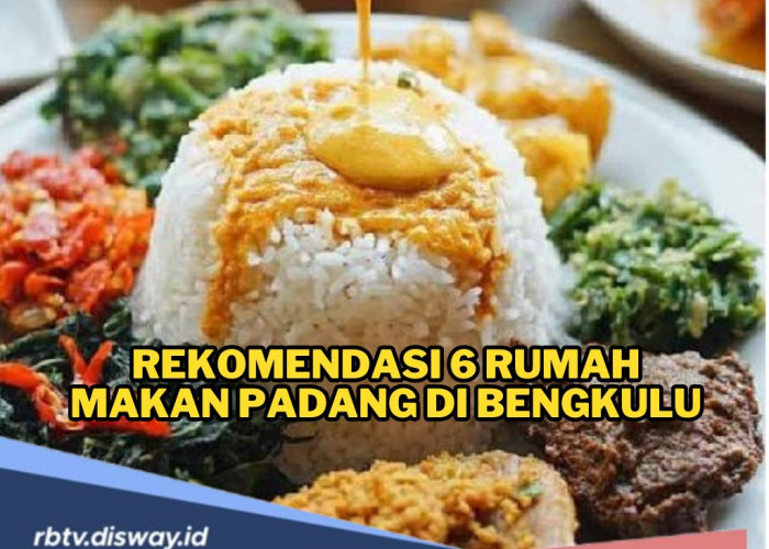 Rekomendasi 6 Rumah Makan Padang di Bengkulu, Menu Banyak, Rasa Mantap dan Dijamin Kenyang! 