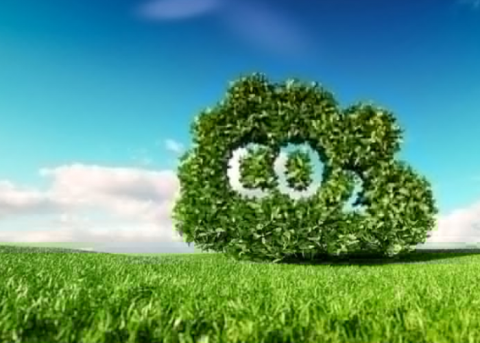 Rekomendasi Kementerian LHK Pendanaan Karbon, Bengkulu Berpotensi Dapat Insentif Sebesar Rp202 Miliar 