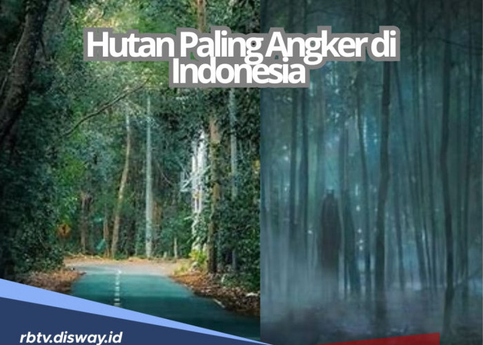 8 Deretan Hutan Paling Angker di Indonesia, Apakah Kamu Berani Berkunjung?