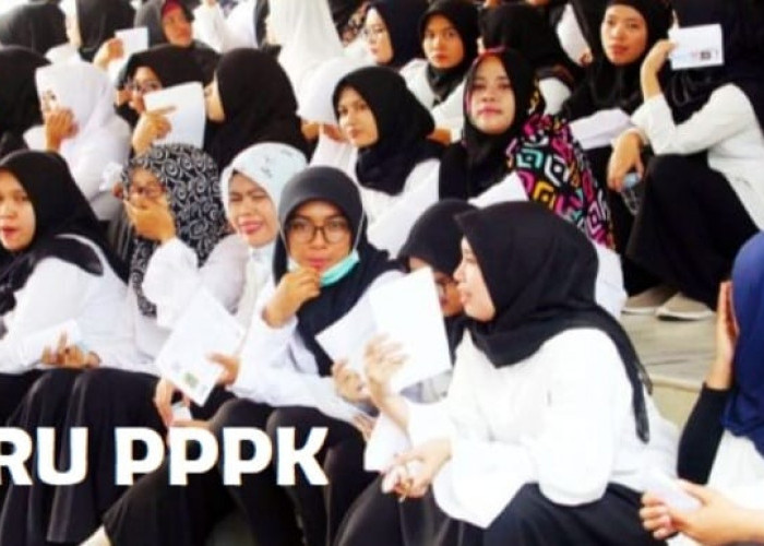 Honorer P1 Tanpa Tes Langsung Jadi PPPK 2023 (Bag 2), Provinsi Babel, Kepri dan Riau. Cek Nama Anda di Sini