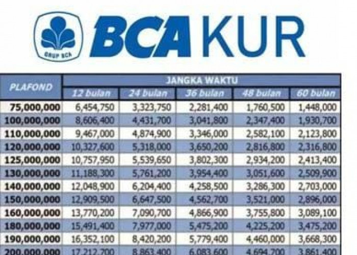 Terbaru Tabel Angsuran KUR BCA 2024 Pinjaman Rp25 Juta-Rp50 Juta, Berikut Syarat Pengajuannya