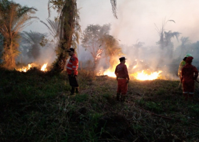 Kebakaran Lagi, Lebih dari Satu Hektare Perkebunan Sawit Terbakar