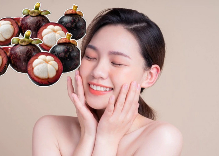 Tak Banyak Orang Tahu, Ini Beragam Manfaat Manggis untuk Kesehatan dan Kecantikan