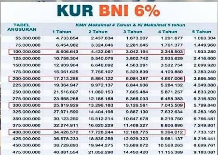 Bocoran Tabel Angsuran KUR BNI Pinjaman Rp10 - 50 Juta Terbaru 2024, Pengajuan Tanpa Jaminan