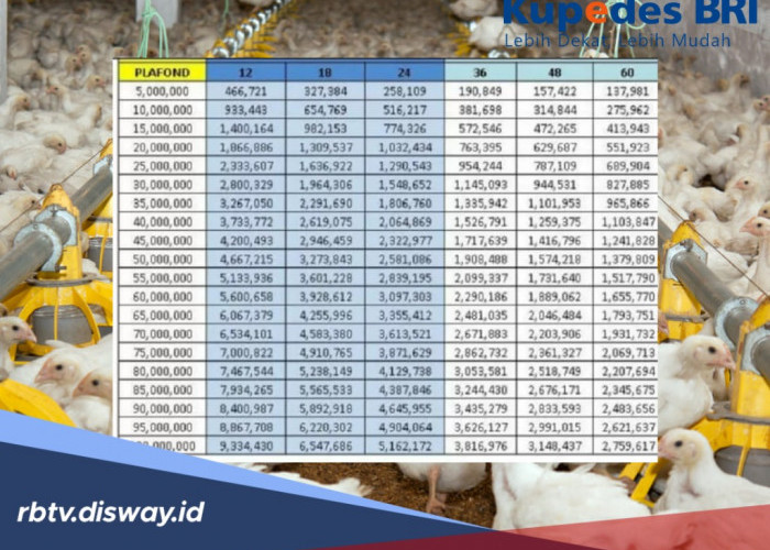Sedikit yang Tahu, Tabel Kupedes BRI Pinjaman Rp 100 Juta Berapa Bunga Pinjamannya?