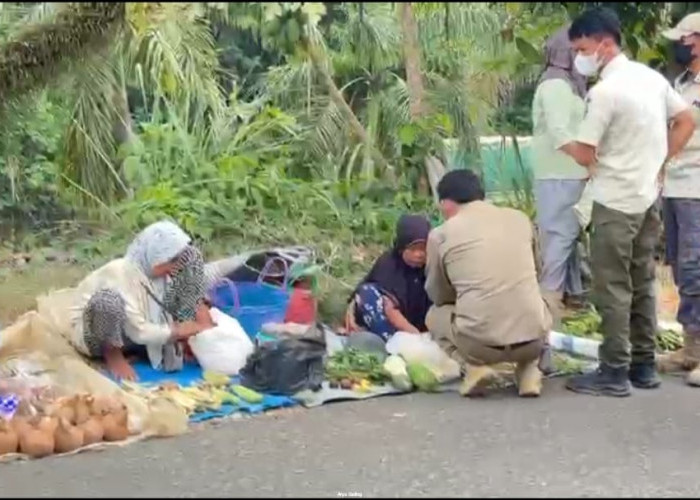 Satpol PP Seluma Tertibkan Pedagang Kaki Lima di Kawasan Alun-Alun Tais