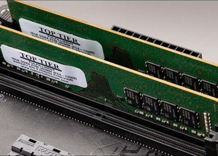 Seperti Apa Ingin Tahu Tentang RAM DDR4? Begini Penjelasannya
