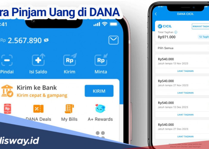 Tanpa KTP, Begini Cara Pinjam Uang di DANA