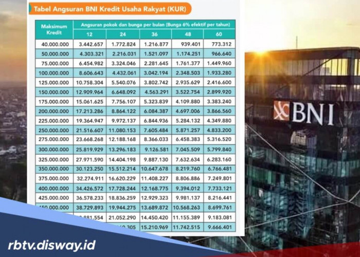 Tabel KUR BNI Pinjaman Rp 50 Juta Periode April 2026 dan Penyebab Pengajuan KUR Ditolak