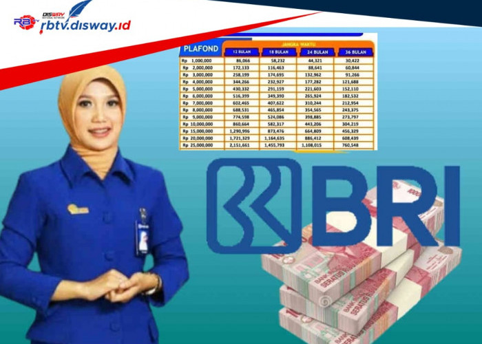 Tabel Angsuran KUR BRI 2024, Pinjaman Rp 20 Juta Cicilan Super Ringan, hanya Segini