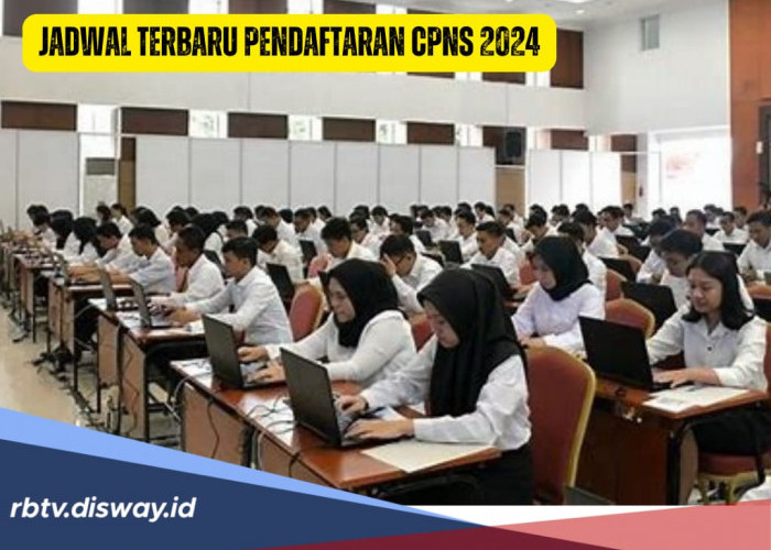 Jadwal Terbaru Pendaftaran CPNS 2024, Infonya Dibuka 18 Agustus, Ini Penjelasan BKN