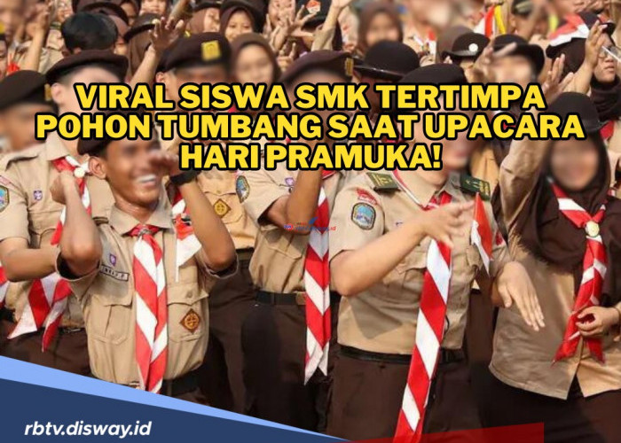 Siswa SMK Tertimpa Pohon Tumbang saat Upacara Hari Pramuka, 6 Orang Dilarikan ke RS