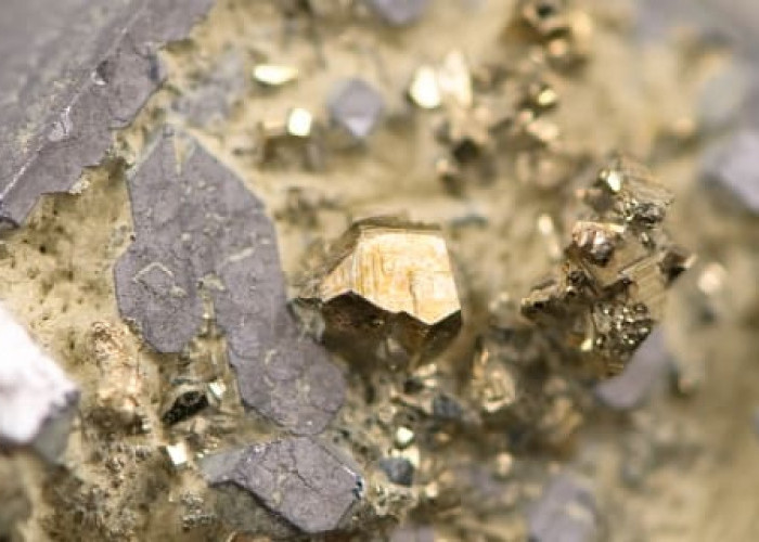 Fantastic, Gold Reserves in North Tapanuli Are Second Largest in Indonesia