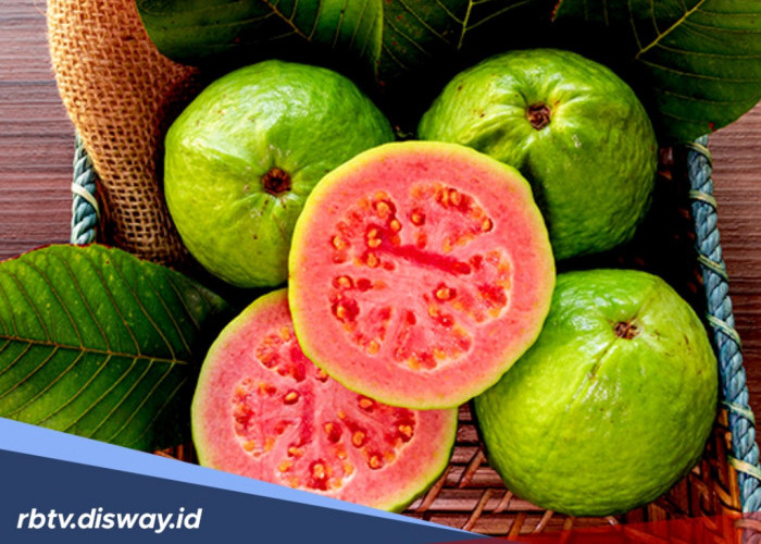 7 Manfaat Buah Jambu Biji untuk Kesehatan dan Kecantikan, Kaum Hawa Wajib Tahu