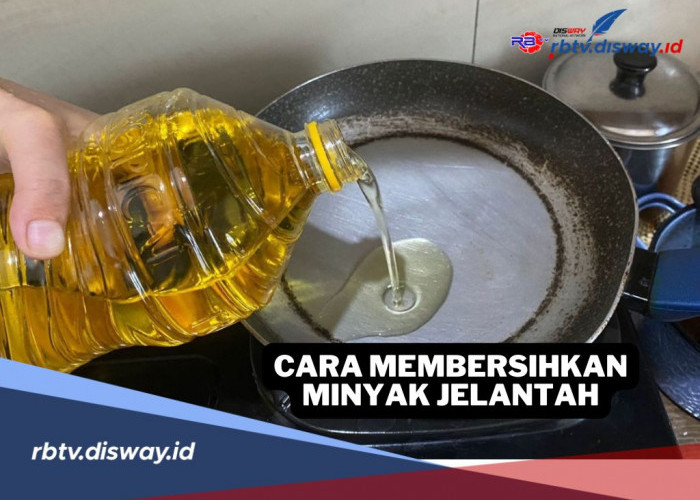 Tak Sulit, Begini Cara Membersihkan Minyak Jelantah Agar Bisa Digunakan Kembali 