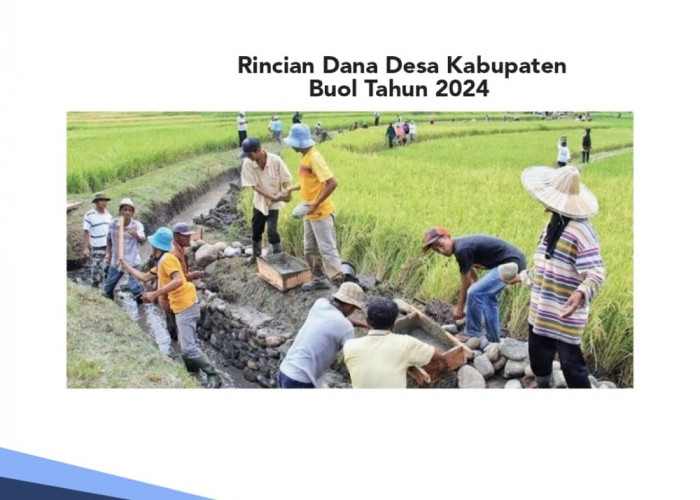 Desa Semakin Berdaya, Ini Rincian Dana Desa Kabupaten Buol Tahun 2024