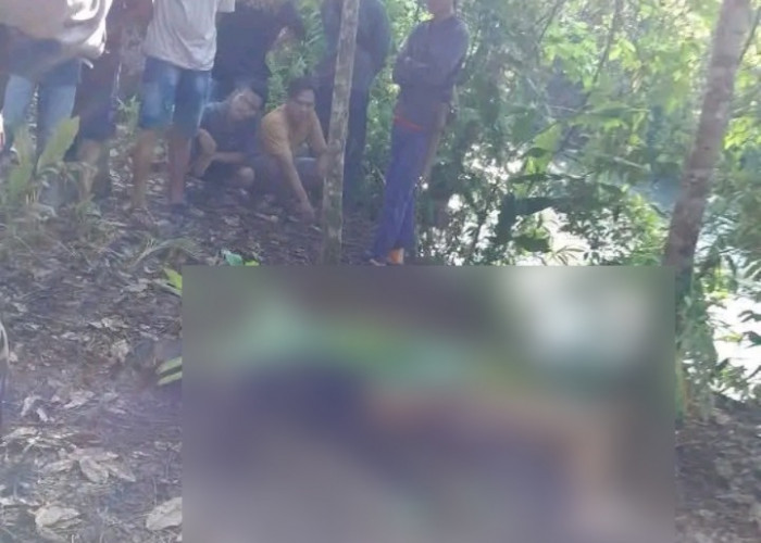 Terduga Pencuri Balita di Rejang Lebong Tewas Dimassa