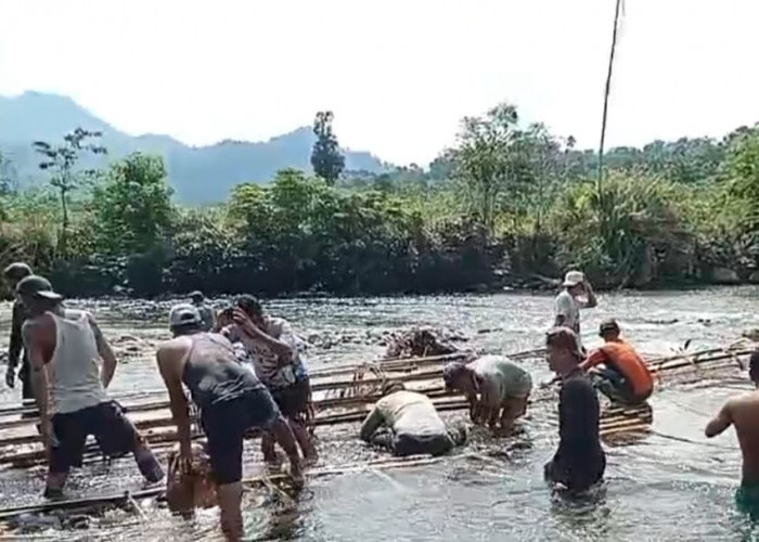 Bendung Sungai Air Talo, Warga Desa Muara Nibung Gotong Royong Buat Irigasi Tradisional