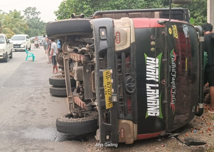 Jalan Amblas, Truk Muatan 10 Ton Kelapa Sawit Terguling di Seluma