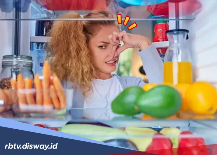 5 Penyebab Kulkas Mengeluarkan Bau Tak Sedap dan Cara Ampuh Mengatasinya