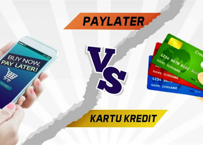 Mending Pakai Kartu Kredit Atau PayLater? Yuk Simak Perbedaan keduanya, Proses Pengajuan Hingga Bunga
