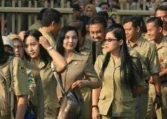 Ada Rencana PPPK Paruh Waktu, Seperti Ini Perbedaannya dengan PNS dan PPPK