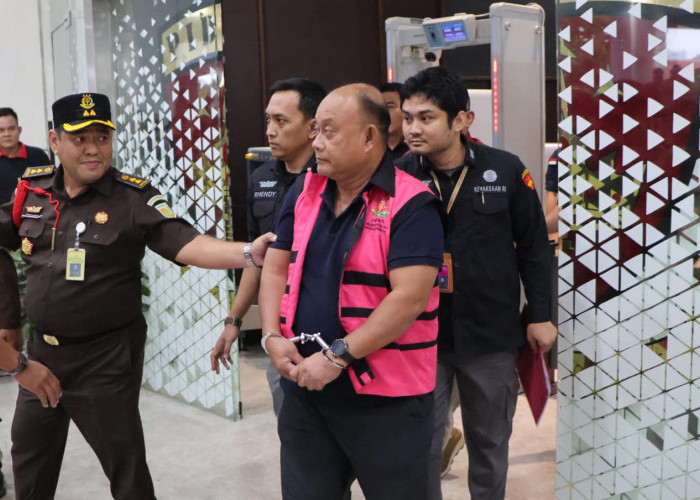 Ditahan Kejagung, Segini Harta Kekayaan 3 Mantan Pimpinan Badan Gizi Nasional
