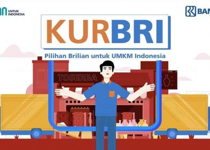 KUR BRI 2024: Solusi Terbaik untuk UMKM Kembangkan Bisnis 