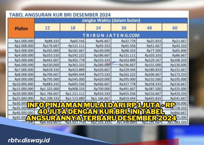 Info Pinjaman Mulai dari Rp 1 Juta - Rp 40 Juta dengan KUR BRI, Ini Tabel Angsurannya Terbaru Desember 2024