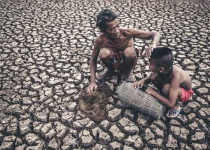 Menakutkan, Ini Daftar Kota di Indonesia yang Dilanda Kemarau Ekstrem Akibat El Nino 2023   