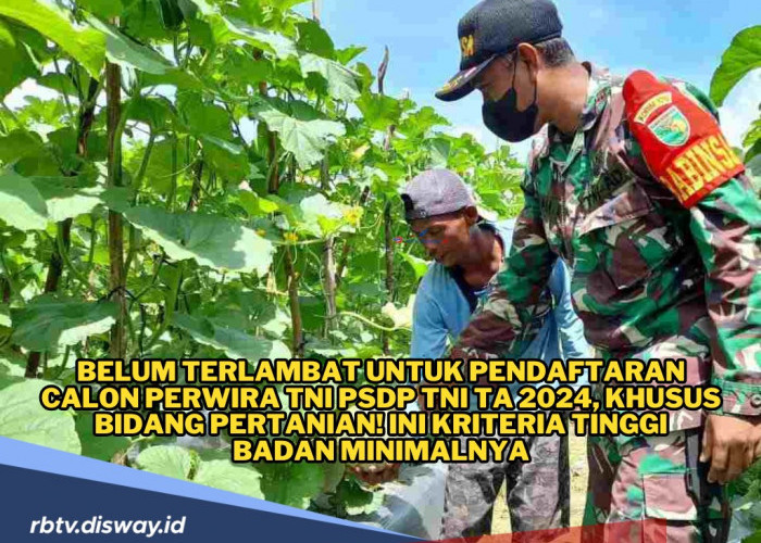 Pendaftaran Calon Perwira TNI PSDP TA 2024, Khusus Bidang Pertanian! Ini Kriteria Tinggi Badan Minimalnya