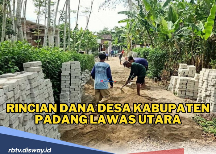 Rincian Dana Desa Kabupaten Padang Lawas Utara, Ini Desa dengan Kucuran Dana Terbesar, Berapa?