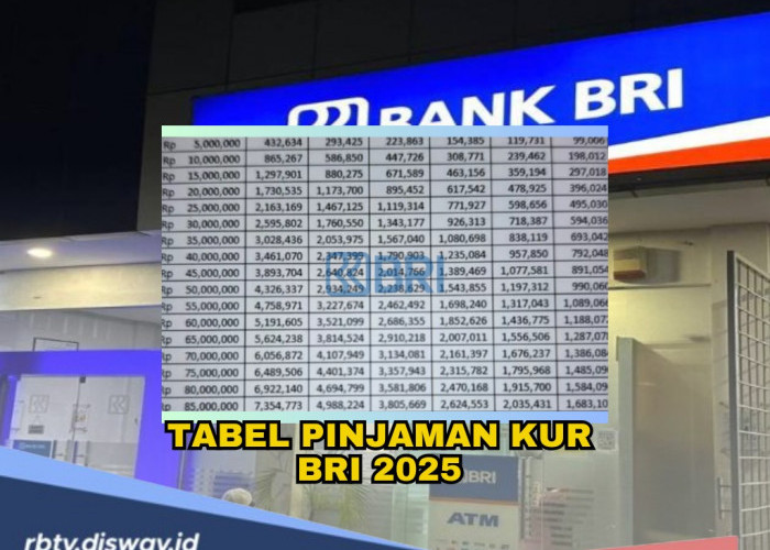 Tabel Pinjaman KUR 2025 di BRI dengan Pinjaman Rp 60 Juta, Ini Angsuran, Syarat dan Caranya