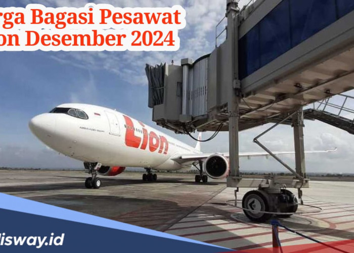 Aturan Baru, Ini Harga Bagasi Lion Group Per Desember 2024 