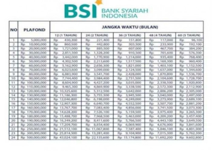 Di Bank Syariah Indonesia bisa Pinjam Rp 500 Juta, Angsuran Mulai Rp 96 Ribu per Bulan