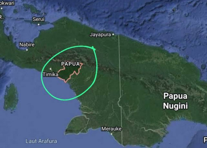 Wow! Ini Harta Karun di Papua Senilai Rp 30.000 Trilliun yang Belum Digarap, Lokasinya Berisiko Tinggi