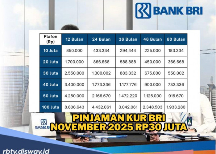 Pinjaman KUR BRI November 2025 Rp30 Juta, Ini Skema Cicilannya