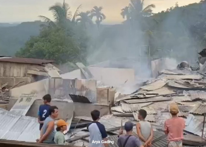 Korban Kebakaran Diungsikan, Bupati Seluma Perintahkan BPBD dan Dinsos Dirikan Dapur Umum