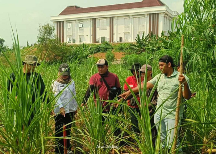 Sambut Pembangunan Sekolah Rakyat, Pemkab Seluma Mulai Pasang Patok Lahan 10 Hektar
